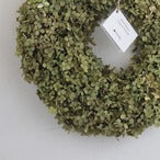 ドライフラワーリース「ドライフラワーアジサイのグリーンリース」ドライ リース お祝い ギフト Lサイズ