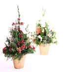 クリスマスアレンジメント「赤いクリスマスツリーアレンジメント」Sサイズ クリスマスギフト トラッドスタイル