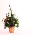 クリスマスアレンジメント「クリスマスツリー ブラウン×ゴールド アレンジメント」Sサイズ クリスマスギフト トラッドスタイル