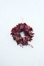 ドライフラワーリース「ドライフラワー紅葉ミナヅキとアロニアのレッド系リース」ドライ リース お祝い ギフト Sサイズ