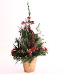 クリスマスアレンジメント「赤いクリスマスツリーアレンジメント」Sサイズ クリスマスギフト トラッドスタイル