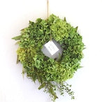 ドライフラワーリース「ドライフラワーアジサイのグリーンリース」ドライ リース お祝い ギフト　Lサイズ