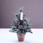 クリスマスアレンジメント「雪降るクリスマスツリー　ブラウン&ゴールド　アレンジメント」Sサイズ クリスマスギフト トラッドスタイル