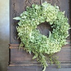 ドライフラワーリース「ドライフラワーアジサイのグリーンリース」ドライ リース お祝い ギフト　Lサイズ